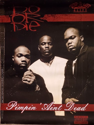 Die pimpin aint - do,